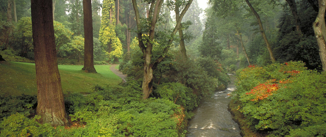 Bodnant Garden