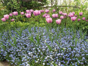 Great Dixter