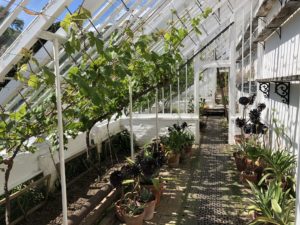 Lost Gardens of Heligan