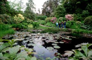 Inverewe Gardens - copyright Paul Tomkin, VisitScotland