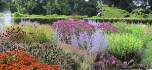 Scampston Walled Garden