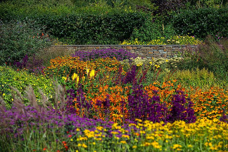 Rosemoor Garden