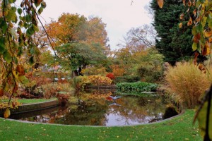 Botanic Garden of Leiden University