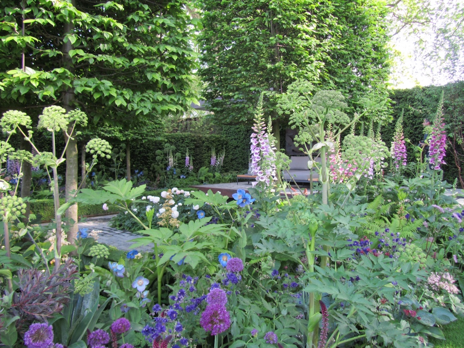 Chelsea Flower Show 2016.132 - Sisley Garden Tours