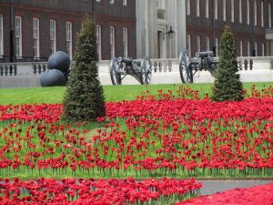 Chelsea Flower Show 2016