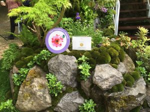 Chelsea Flower Show 2016