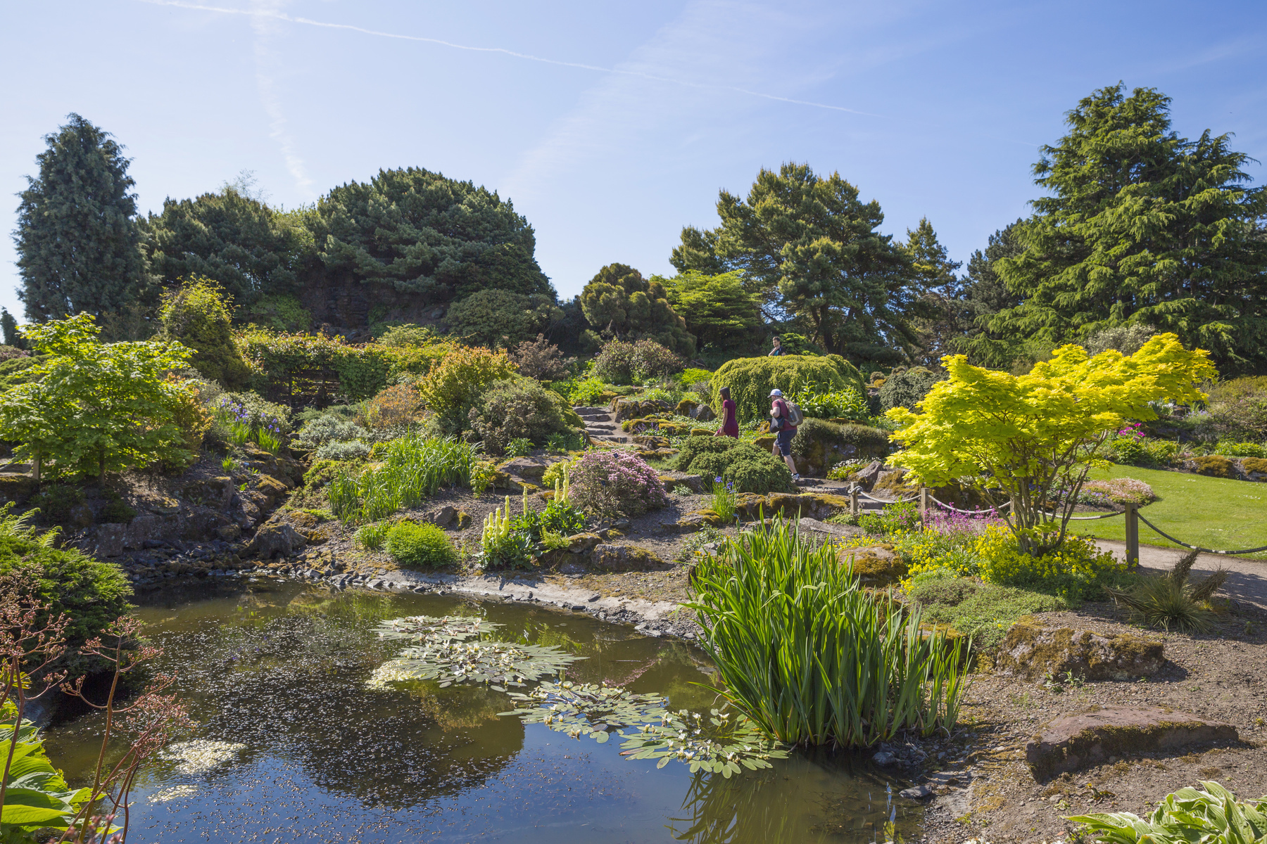 garden tours edinburgh