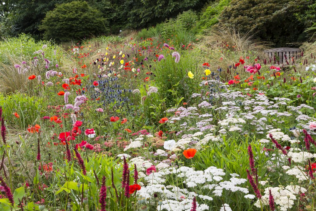 Garden Gems of Cornwall, Devon & the Isles of Scilly 2018