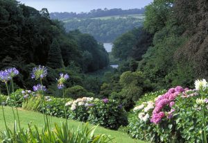 Trebah Gardens