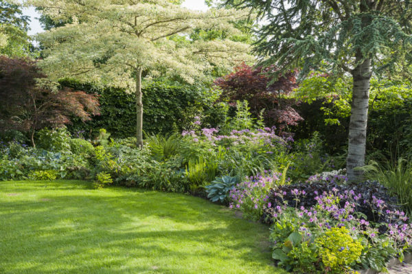 Hester Forde Garden - Sisley Garden Tours