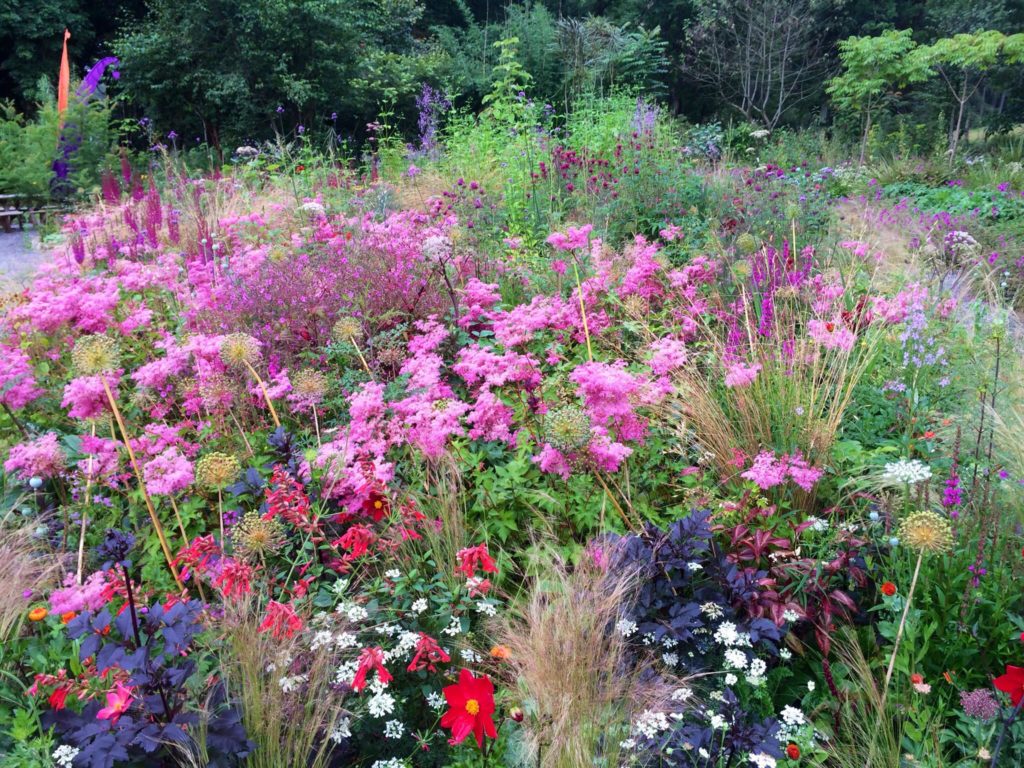 A Garden Lover's Tour of Ireland 2020