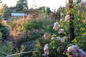 The Barn Garden