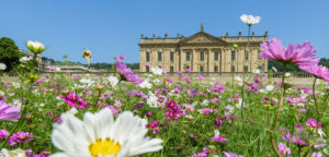 RHS Chatsworth Flower Show