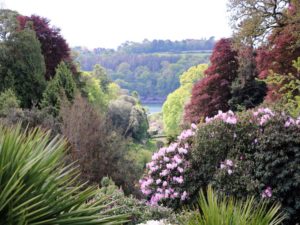 Trebah Garden