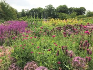 Scampston Walled Garden