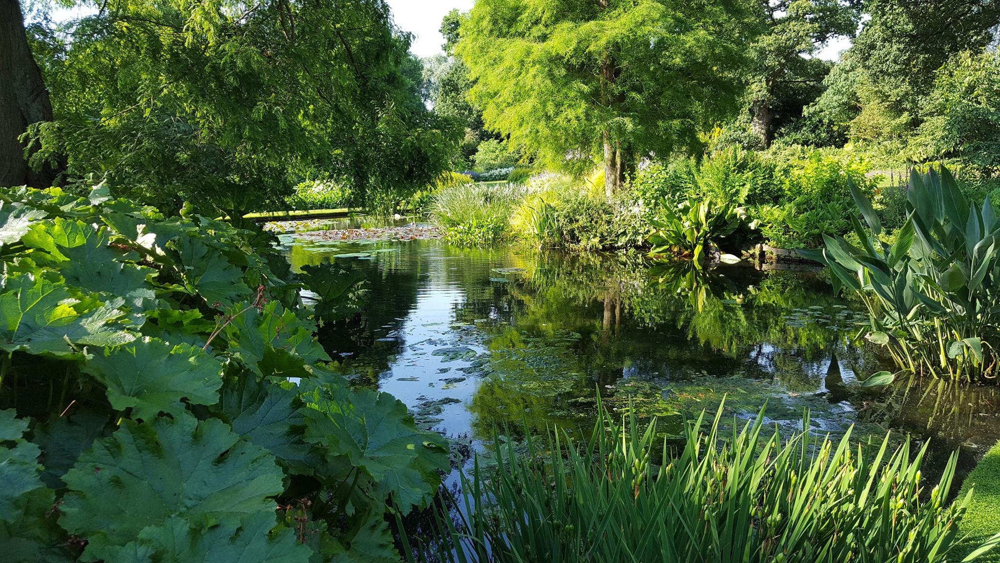 Beth Chattos Garden 2 - Sisley Garden Tours