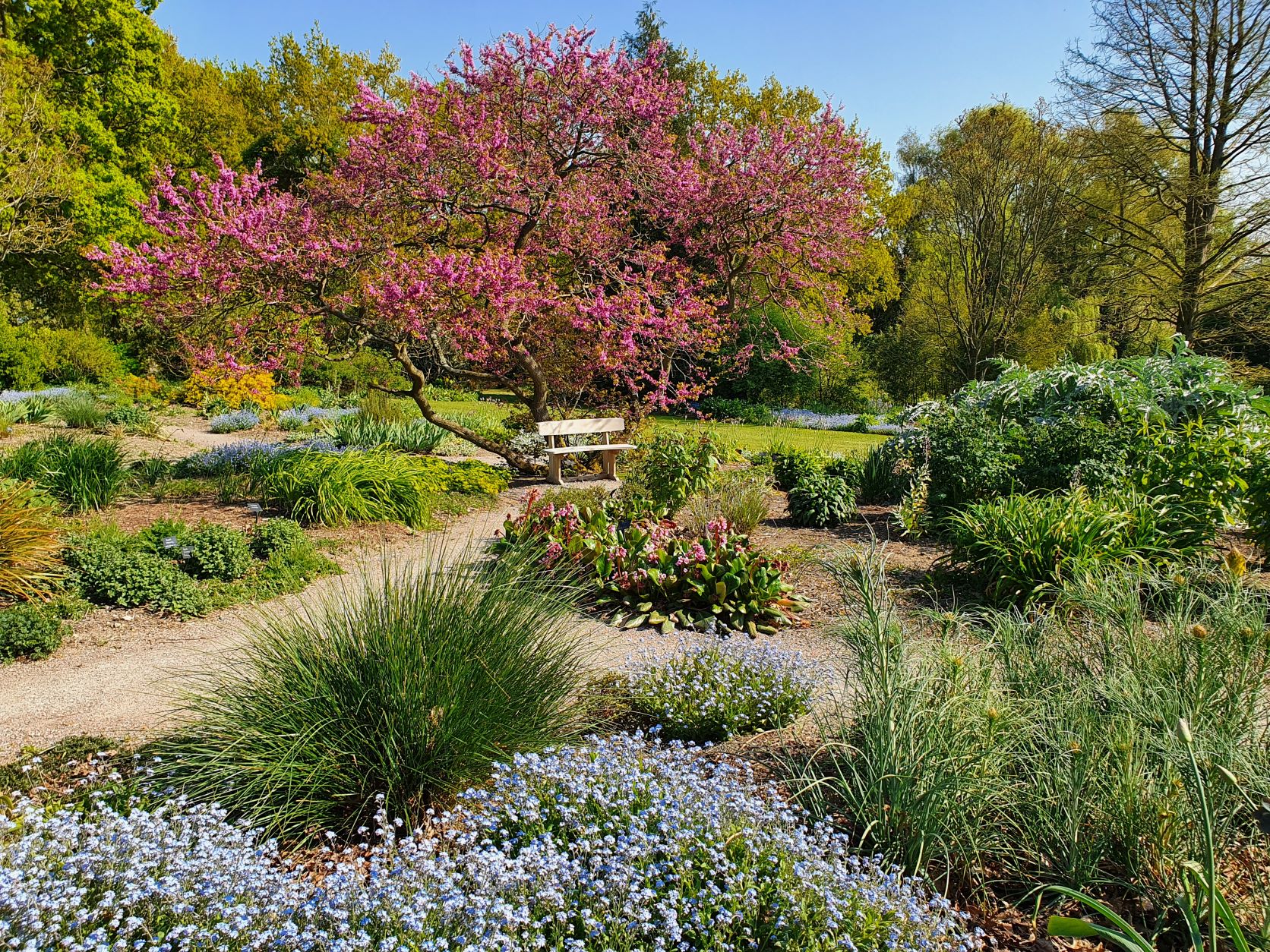 SPRING SUMMER reservoir resized Sisley Garden Tours